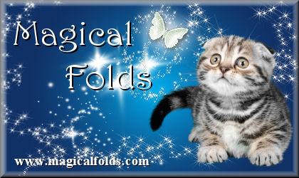 Magical Folds banner