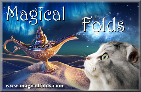 Magical Folds banner