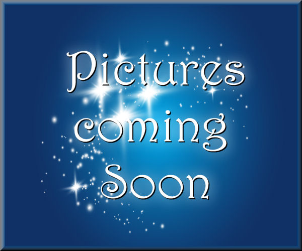 Puzzle Me This
