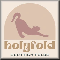 Holyfold